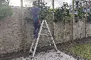 Svelt P1_actieshot_02.webp